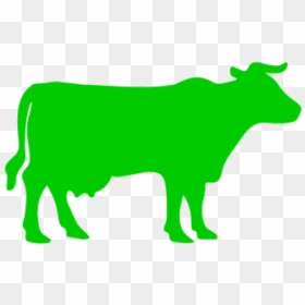 Greencow Rgb V2 - Dreaming Of A Farmhouse Svg, HD Png Download - cattle png