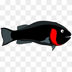 Beak,fish,dolphin - Siyah Balık Vektör Png, Transparent Png - swordfish png