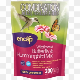 Encap, HD Png Download - humming bird png