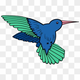 How To Draw Hummingbird - Animated Pics Of Hummingbirds, HD Png Download - humming bird png