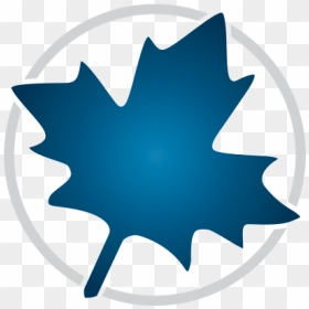 Maple 2019 Activation Code, HD Png Download - maple png