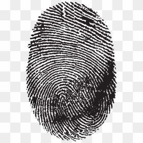 Fingerprint Image Scanner No Icon - Transparent Background Finger Print ...