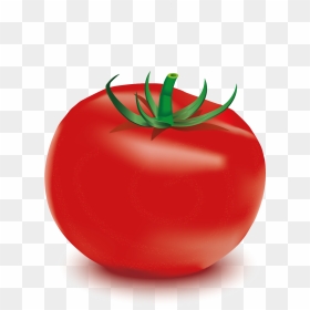 Plum Tomato, HD Png Download - tomate png