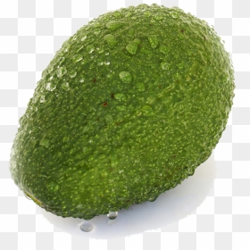 Persian Lime , Png Download - Seedless Fruit, Transparent Png - aguacate png