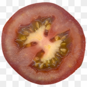 Preview - Tomato, HD Png Download - tomate png