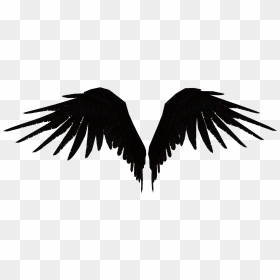 #wings #fallen #angel #black#wearit - Parrot, HD Png Download - fallen angel png