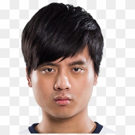 Maple Png, Transparent Png - maple png