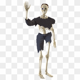 S Fanon Wiki - Illustration, HD Png Download - the thing png