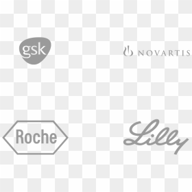 Logo Set Right - Sign, HD Png Download - lilly png