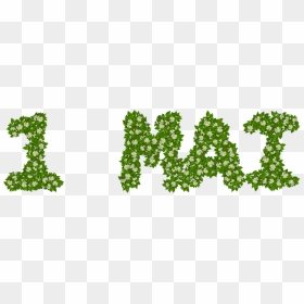 Muguet Maurice Careme Dessin, HD Png Download - lilly png