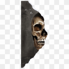 #skull #halfskullface #halfskull #skullface #smokeskull - Half Skull Half Girl Face, HD Png Download - skull face png