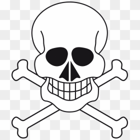 Iskelet Çizimi, HD Png Download - skull face png