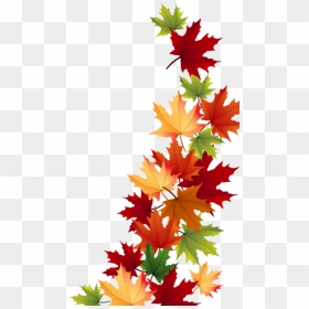 Maple Leaf Clipart Autumn Theme - Fall Leaves Clipart Transparent Background, HD Png Download - maple png