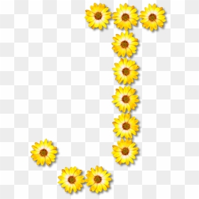 Sunflower Seed,plant,flower - Gambar Animasi Huruf J, HD Png Download - sun flower png