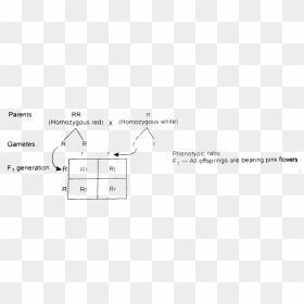 Diagram, HD Png Download - red cross out png