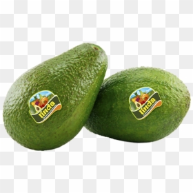 Avocado, HD Png Download - aguacate png