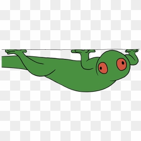 Gecko, HD Png Download - gecko png