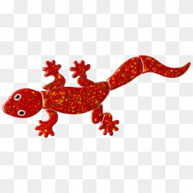 Lg62r Leopard Gecko Red Copy - Red Leopard Gecko, HD Png Download - gecko png