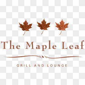 Ml Logo Colour-01 - Maple Leaf, HD Png Download - maple png