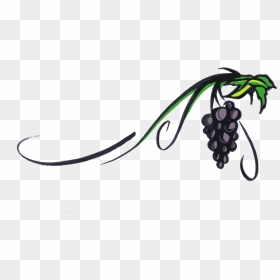 Grapevine Png Transparent Picture - Wine Grape Clip Art, Png Download - grapevine png