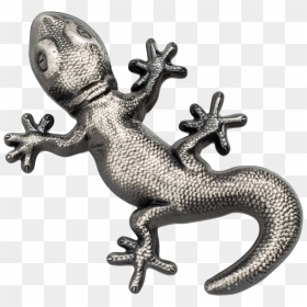 Gecko Silver Palau, HD Png Download - gecko png
