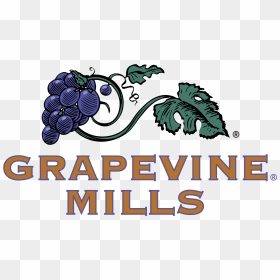 Grape Vine Logo, HD Png Download - grapevine png