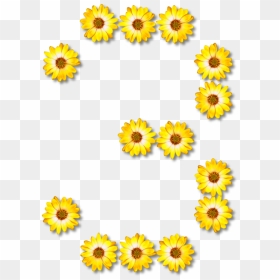 Sunflower Seed,chrysanths,flower - S Made Of Sunflowers, HD Png Download - sun flower png