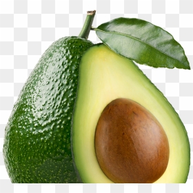 Avocado, HD Png Download - aguacate png