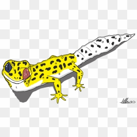 Transparent Gecko Poisonous - Leopard Gecko Drawing Easy, HD Png Download - gecko png