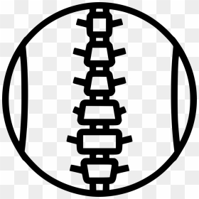 Spinal Cord Segment - Png Vertebral Column Icon, Transparent Png - spinal cord png