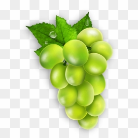 Transparent Fruit Seedless Fruit Grape Grapevine Family - Seedless Fruit, HD Png Download - grapevine png