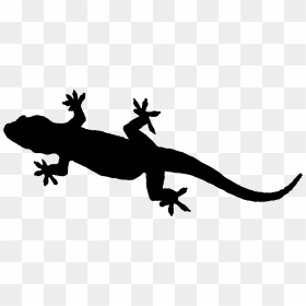 Gecko, HD Png Download - gecko png