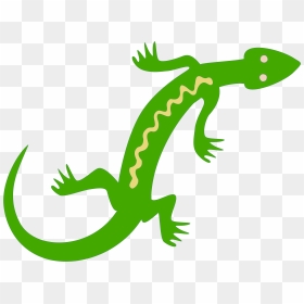 Gecko Clipart Small Lizard, Gecko Small Lizard Transparent - Clip Art Water Lizard, HD Png Download - gecko png