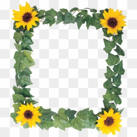 Transparent Sunflower Border Clipart - Sunflower Png Clipart Transparent, Png Download - sun flower png
