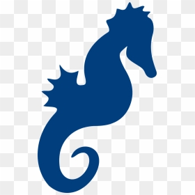 Seahorse Silhouette, HD Png Download - sea life png