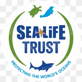 Sea Life Trust Rgb - Sea Life Trust Logo, HD Png Download - sea life png