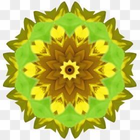 Sunflower Seed,plant,flower, HD Png Download - sun flower png