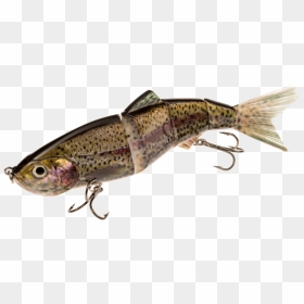 9 - Swimbaits Png, Transparent Png - realistic rainbow png