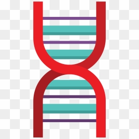 Graphic Design , Png Download - Carmine, Transparent Png - dna icon png