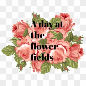 Floral Love Facebook Cover - Garden Roses, HD Png Download - facebook love png