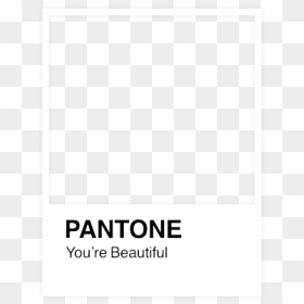 #pantone #aesthetic #tumblr #white #doodle #frame #overlay - Office Application Software, HD Png Download - doodle frame png