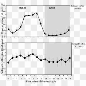 Soleus H-reflex Modulation During Treadmill Stepping, HD Png Download - spinal cord png