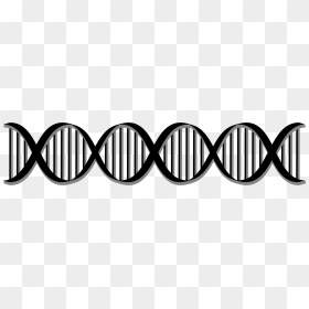 Dna Clipart File - Dna Double Helix Clip Art, HD Png Download - dna icon png