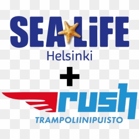 Sea Life Rush Child - Sea Life Trust, HD Png Download - sea life png