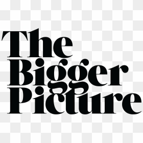 The Bigger Picture - Bigger Picture Youth Speaks, HD Png Download - diabetes png