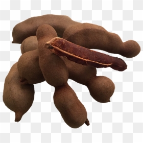 Tamarindo Png, Transparent Png - tamarindo png