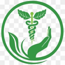 Naturopathy Services Health Medicine Herbalism Pharmacy - Herbal Medicine Logo Png, Transparent Png - pharmacy png