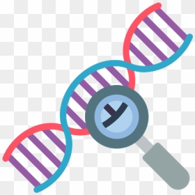 Cadena De Adn Png, Transparent Png - dna icon png