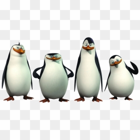 Madagascar Penguins Png Image - Penguins Of Madagascar Clipart, Transparent Png - penguins png