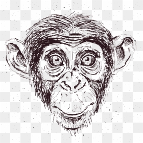 Chimp , Png Download - Monkey Face Sketch, Transparent Png - chimp png